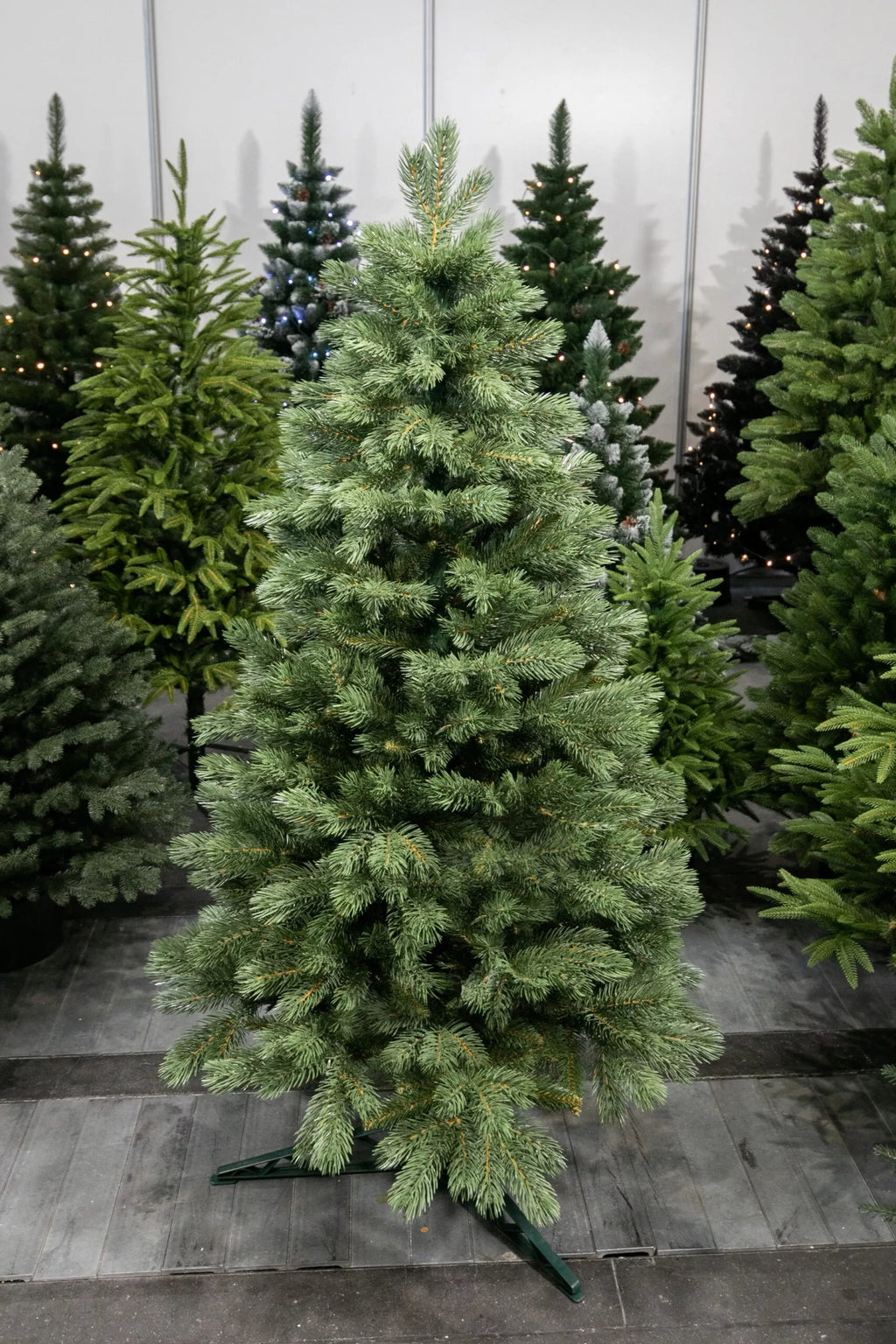 150 cm Kalėdų eglutė Sosna Himalajska Exclusive