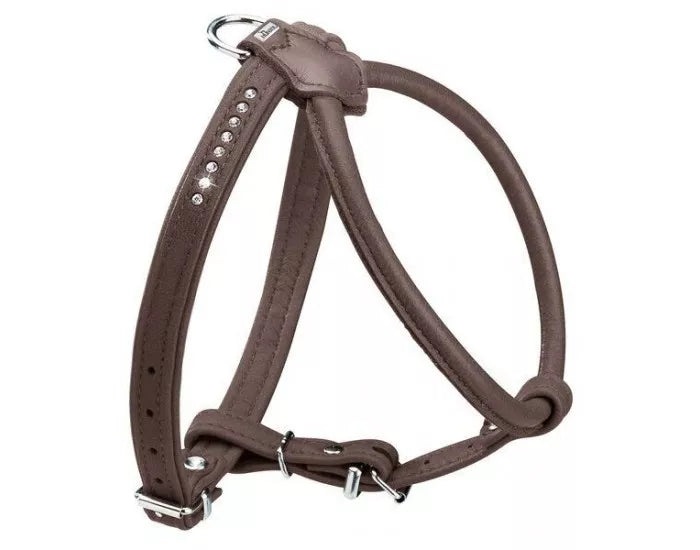 30CM. Petnešos šunims Hunter
