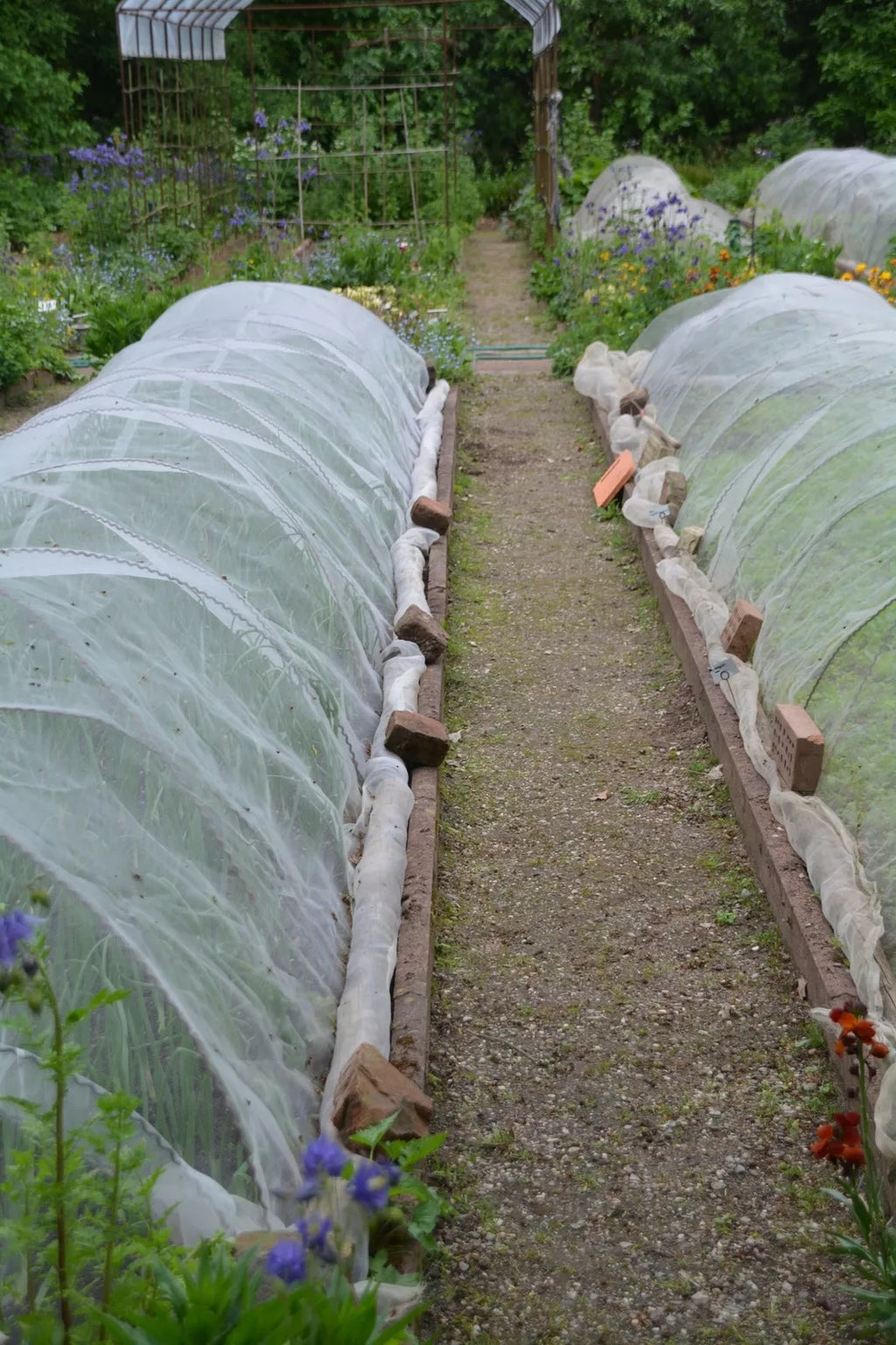 Agroplėvelė 1,6 x 10 m pavasarinė balta 17 g/m²