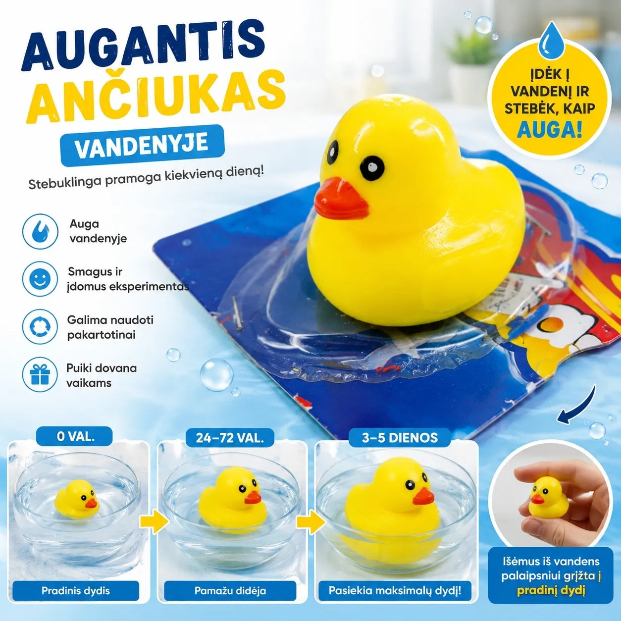 Augantis ančiukas vandenyje