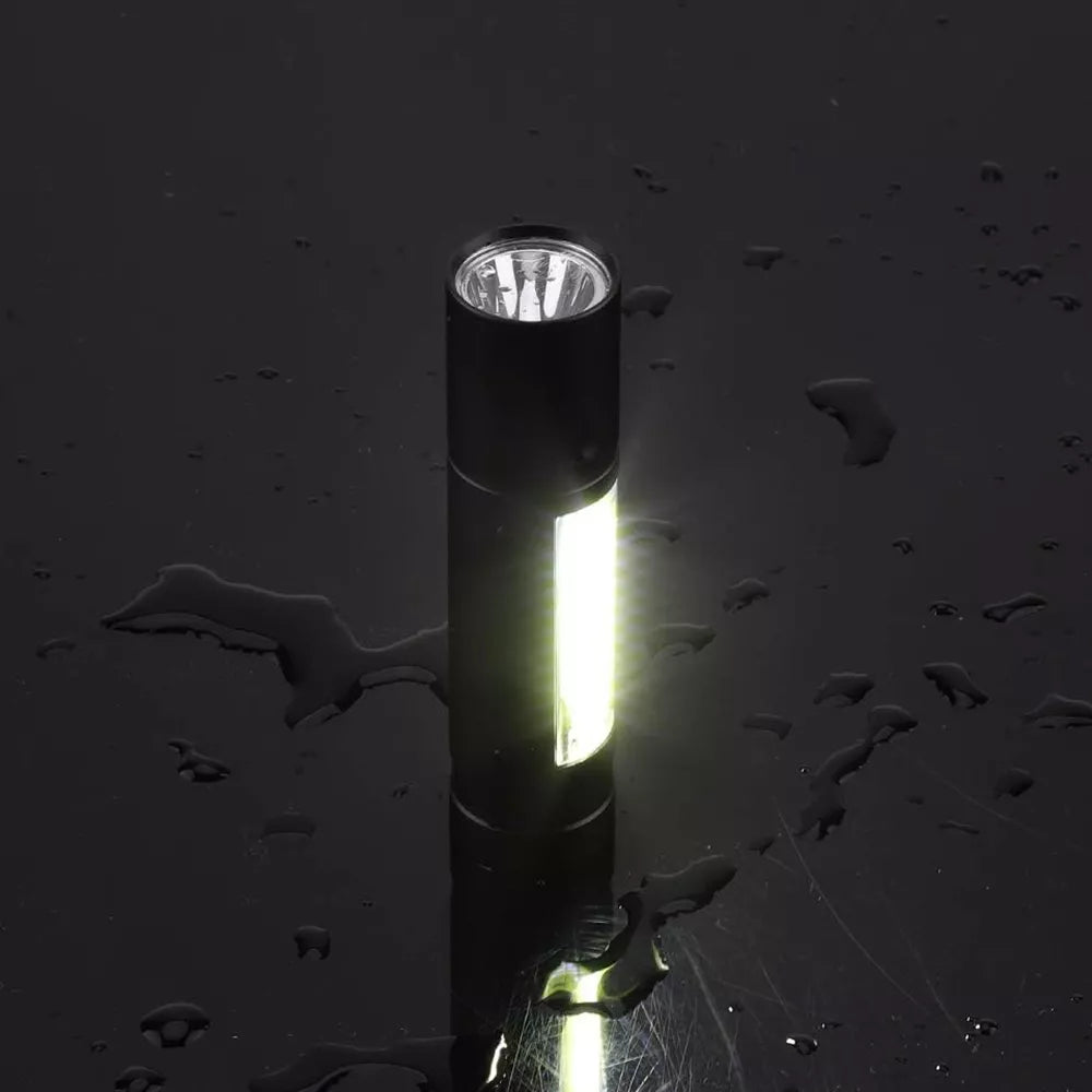 LED prožektorius, 2 LED