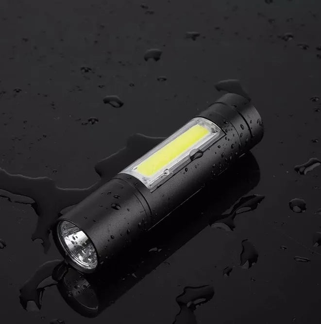 LED prožektorius, 2 LED