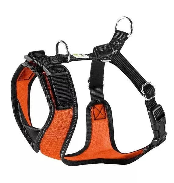 M Petnešos šunims Hunter H92732