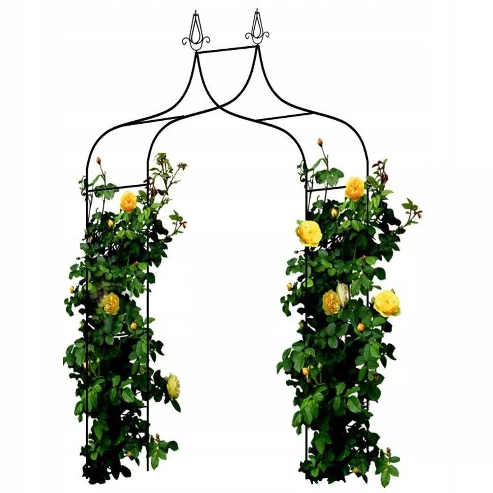 Sodo pergola augalams 150 × 37 × 240 cm, metalinė, juoda